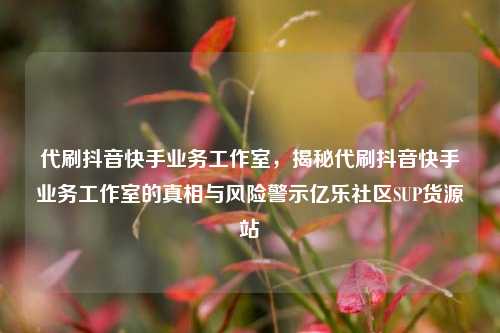 代刷抖音快手业务工作室，揭秘代刷抖音快手业务工作室的真相与风险警示亿乐社区SUP货源站  第1张