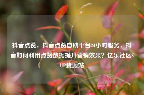抖音点赞，抖音点赞自助平台24小时服务，抖音如何利用点赞数据提升营销效果？亿乐社区SUP货源站  第1张