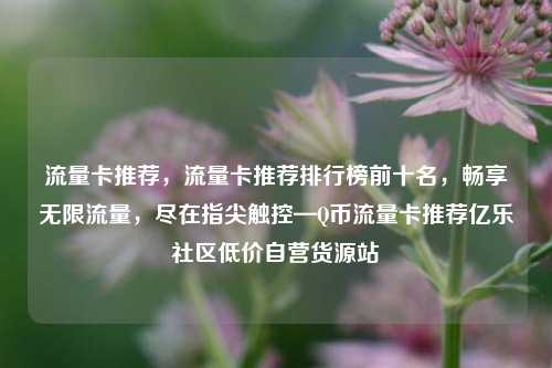 流量卡推荐，流量卡推荐排行榜前十名	，畅享无限流量，尽在指尖触控—Q币流量卡推荐亿乐社区低价自营货源站  第1张