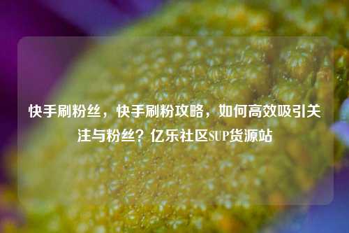 快手刷粉丝	，快手刷粉攻略，如何高效吸引关注与粉丝？亿乐社区SUP货源站  第1张