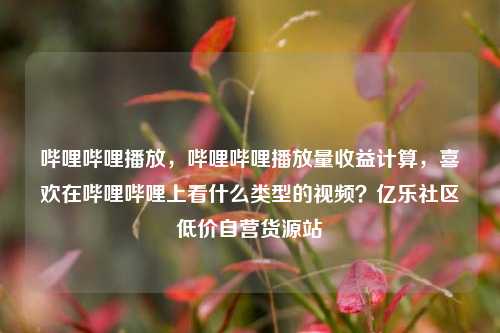 哔哩哔哩播放，哔哩哔哩播放量收益计算，喜欢在哔哩哔哩上看什么类型的视频？亿乐社区低价自营货源站  第1张