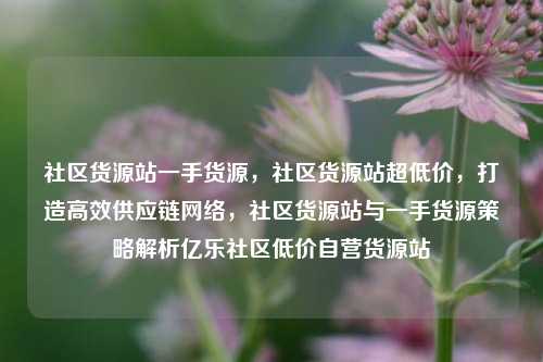 社区货源站一手货源，社区货源站超低价，打造高效供应链网络	，社区货源站与一手货源策略解析亿乐社区低价自营货源站  第1张