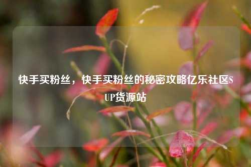 快手买粉丝，快手买粉丝的秘密攻略亿乐社区SUP货源站  第1张