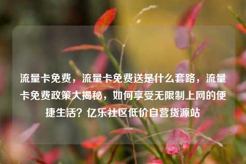流量卡免费，流量卡免费送是什么套路，流量卡免费政策大揭秘，如何享受无限制上网的便捷生活？亿乐社区低价自营货源站  第1张