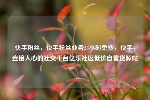 快手粉丝	，快手粉丝业务24小时免费，快手，连接人心的社交平台亿乐社区低价自营货源站  第1张