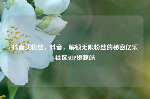 抖音买粉丝，抖音，解锁无限粉丝的秘密亿乐社区SUP货源站  第1张