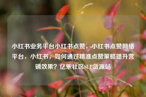 小红书业务平台小红书点赞，小红书点赞网络平台，小红书，如何通过精准点赞策略提升营销效果？亿乐社区SUP货源站  第1张