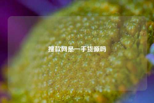 搜款网是一手货源吗  第1张