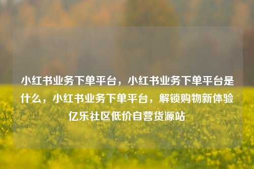 小红书业务下单平台，小红书业务下单平台是什么，小红书业务下单平台	，解锁购物新体验亿乐社区低价自营货源站  第1张