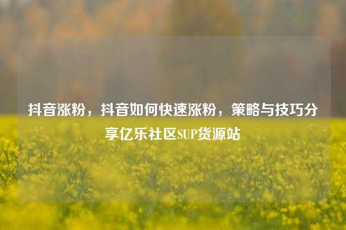 抖音涨粉，抖音如何快速涨粉，策略与技巧分享亿乐社区SUP货源站  第1张