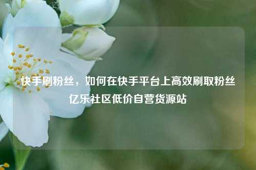 快手刷粉丝	，如何在快手平台上高效刷取粉丝亿乐社区低价自营货源站  第1张