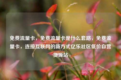 免费流量卡，免费流量卡是什么套路，免费流量卡，连接互联网的新方式亿乐社区低价自营货源站  第1张