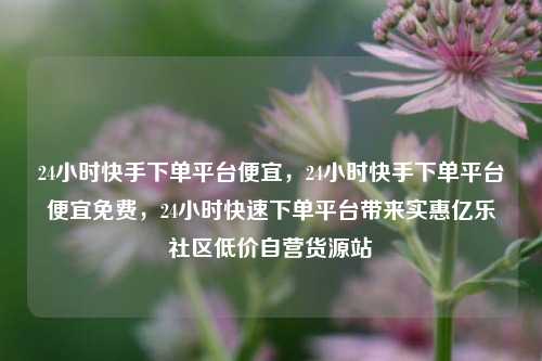 24小时快手下单平台便宜，24小时快手下单平台便宜免费，24小时快速下单平台带来实惠亿乐社区低价自营货源站  第1张