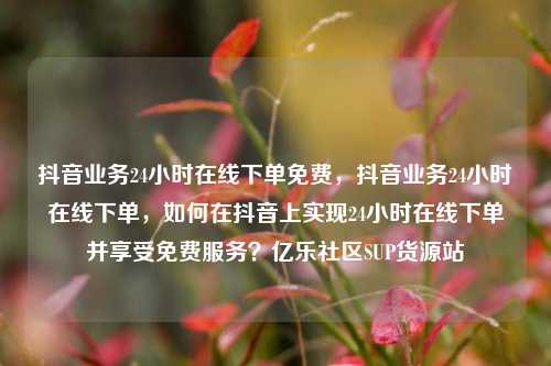 抖音业务24小时在线下单免费，抖音业务24小时在线下单	，如何在抖音上实现24小时在线下单并享受免费服务？亿乐社区SUP货源站  第1张