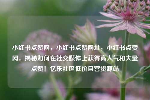小红书点赞网，小红书点赞网址	，小红书点赞网，揭秘如何在社交媒体上获得高人气和大量点赞！亿乐社区低价自营货源站  第1张
